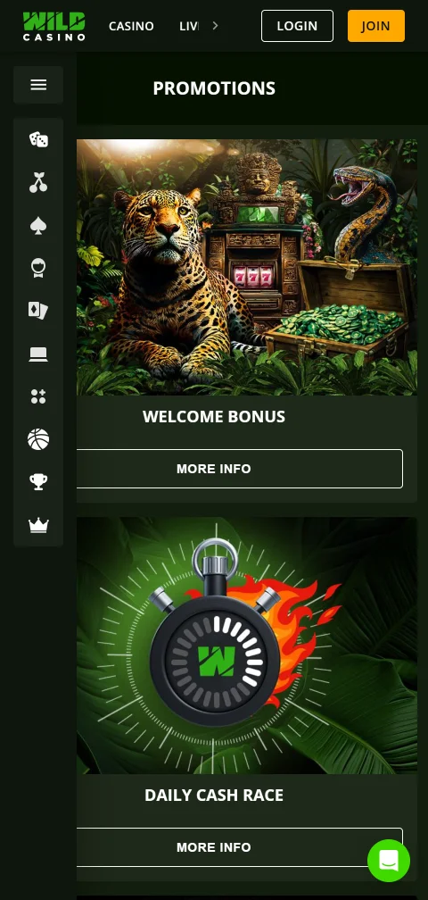 Pagamentos do Wild Casino em criptomoeda e cartão com prazos de 24-48h
